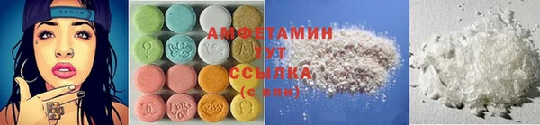 молекула духа Алзамай