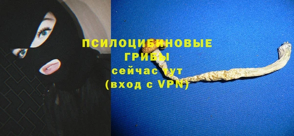 молекула духа Алзамай