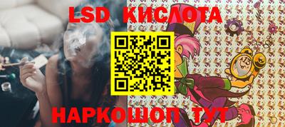 прущие грибы Прохладный