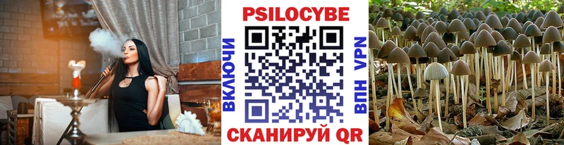 Галлюциногенные грибы Cubensis  kraken зеркало  Белореченск  закладки 