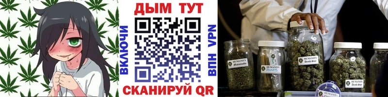 Бошки Шишки MAZAR  Белореченск 
